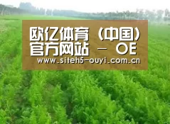 种植基地四