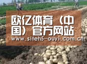 种植基地七(图1)