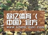 种植基地八(图1)