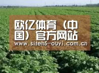 种植基地五