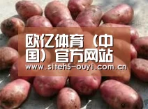 产品展示标题5(图1)