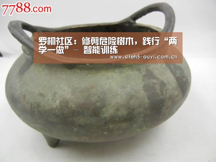 罗桐社区:修剪危险树木,践行“两学一做”- 智能训练(图2) 欧亿体育