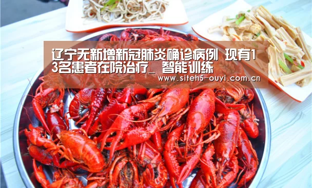 辽宁无新增新冠肺炎确诊病例 现有13名患者在院治疗_ 智能训练(图1) 智能训练