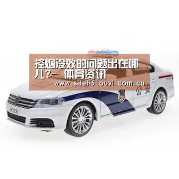  智能训练