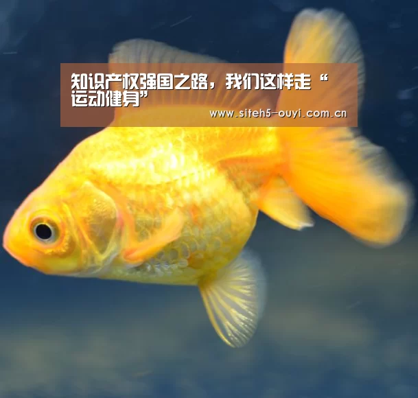 知识产权强国之路,我们这样走“ 运动健身”(图1) 智能训练